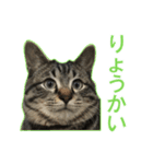 てぃぐるの気持ち（個別スタンプ：22）