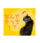 ちろるさんフォトスタンプ（個別スタンプ：10）