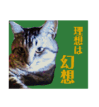 ちろるさんフォトスタンプ（個別スタンプ：12）