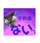 ちろるさんフォトスタンプ（個別スタンプ：18）