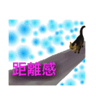 ちろるさんフォトスタンプ（個別スタンプ：19）