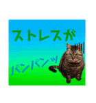 ちろるさんフォトスタンプ（個別スタンプ：21）