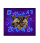 ちろるさんフォトスタンプ（個別スタンプ：23）