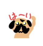 動物は友達〈ver.犬〉（個別スタンプ：5）
