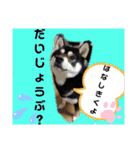 くろ柴犬スタンプ（個別スタンプ：18）