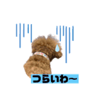 ♡じゅんぺいスタンプ♡（個別スタンプ：3）