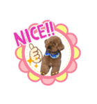 ♡じゅんぺいスタンプ♡（個別スタンプ：14）