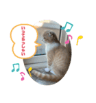 ミラたんスコスタンプ 3（個別スタンプ：9）