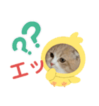 ミラたんスコスタンプ 3（個別スタンプ：13）