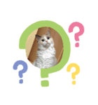 ひめぽんの日常（個別スタンプ：5）