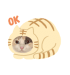 ひめぽんの日常（個別スタンプ：6）