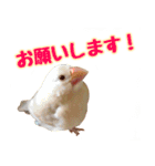 おかえりファミリー（個別スタンプ：2）
