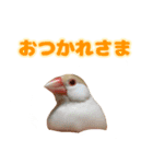 おかえりファミリー（個別スタンプ：3）