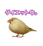おかえりファミリー（個別スタンプ：4）