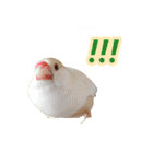 おかえりファミリー（個別スタンプ：5）