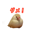 おかえりファミリー（個別スタンプ：6）