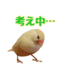 おかえりファミリー（個別スタンプ：7）
