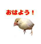 おかえりファミリー（個別スタンプ：8）