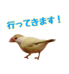 おかえりファミリー（個別スタンプ：9）