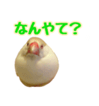 おかえりファミリー（個別スタンプ：11）