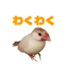 おかえりファミリー（個別スタンプ：13）