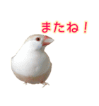 おかえりファミリー（個別スタンプ：16）