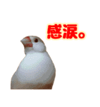 おかえりファミリー（個別スタンプ：17）
