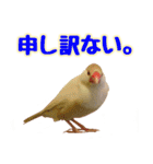 おかえりファミリー（個別スタンプ：18）