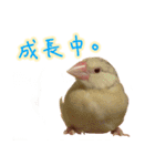 おかえりファミリー（個別スタンプ：22）