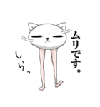 美脚なネコ（個別スタンプ：2）