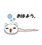 美脚なネコ（個別スタンプ：12）