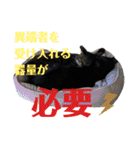 にゃんとも名言格言（個別スタンプ：20）