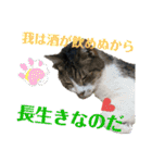 にゃんとも名言格言（個別スタンプ：23）