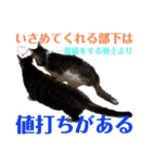 にゃんとも名言格言（個別スタンプ：31）
