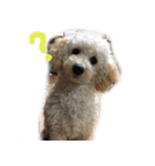 よね犬 vol.1（個別スタンプ：3）