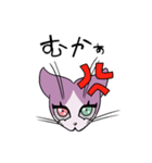 猫又ちゃん01（個別スタンプ：2）