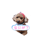 イヌだよー2（個別スタンプ：6）