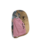 犬ぐんだんココ（個別スタンプ：7）
