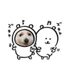 モコとちゃん（個別スタンプ：5）