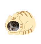 モコとちゃん（個別スタンプ：6）