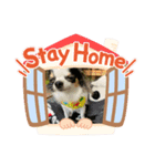 まりしおん（個別スタンプ：8）