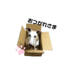 スニフのつぶやき（個別スタンプ：6）