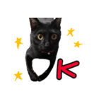 黒猫のcoco（個別スタンプ：2）