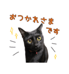 黒猫のcoco（個別スタンプ：4）