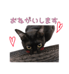 黒猫のcoco（個別スタンプ：5）