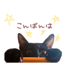 黒猫のcoco（個別スタンプ：8）