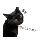 黒猫のcoco（個別スタンプ：10）