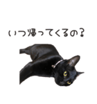 黒猫のcoco（個別スタンプ：11）