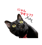 黒猫のcoco（個別スタンプ：13）