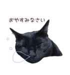 黒猫のcoco（個別スタンプ：21）